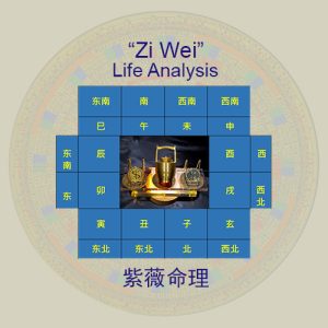 zi wei life analysis